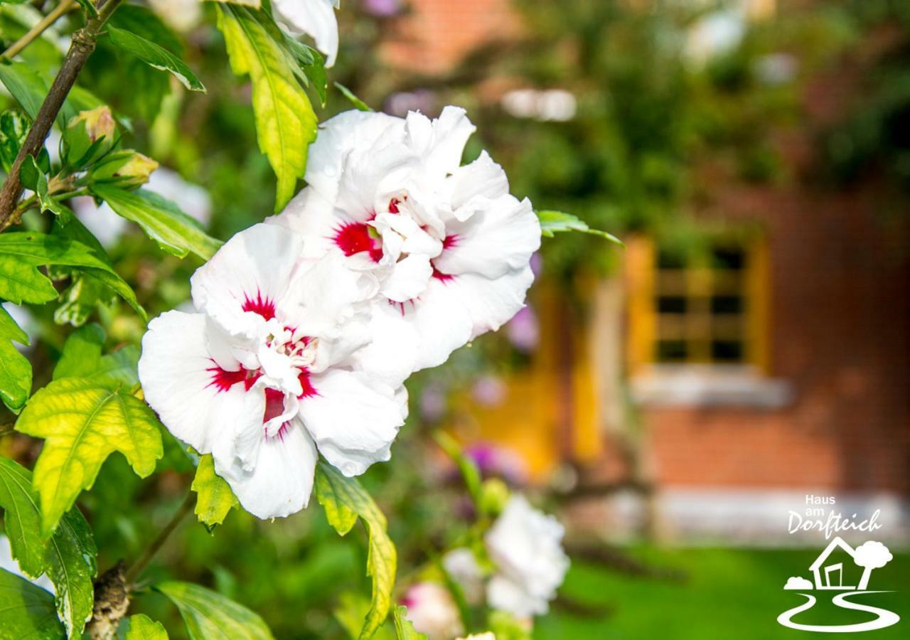 Haus Am Dorfteich Fehmarn Daire Dänschendorf Dış mekan fotoğraf