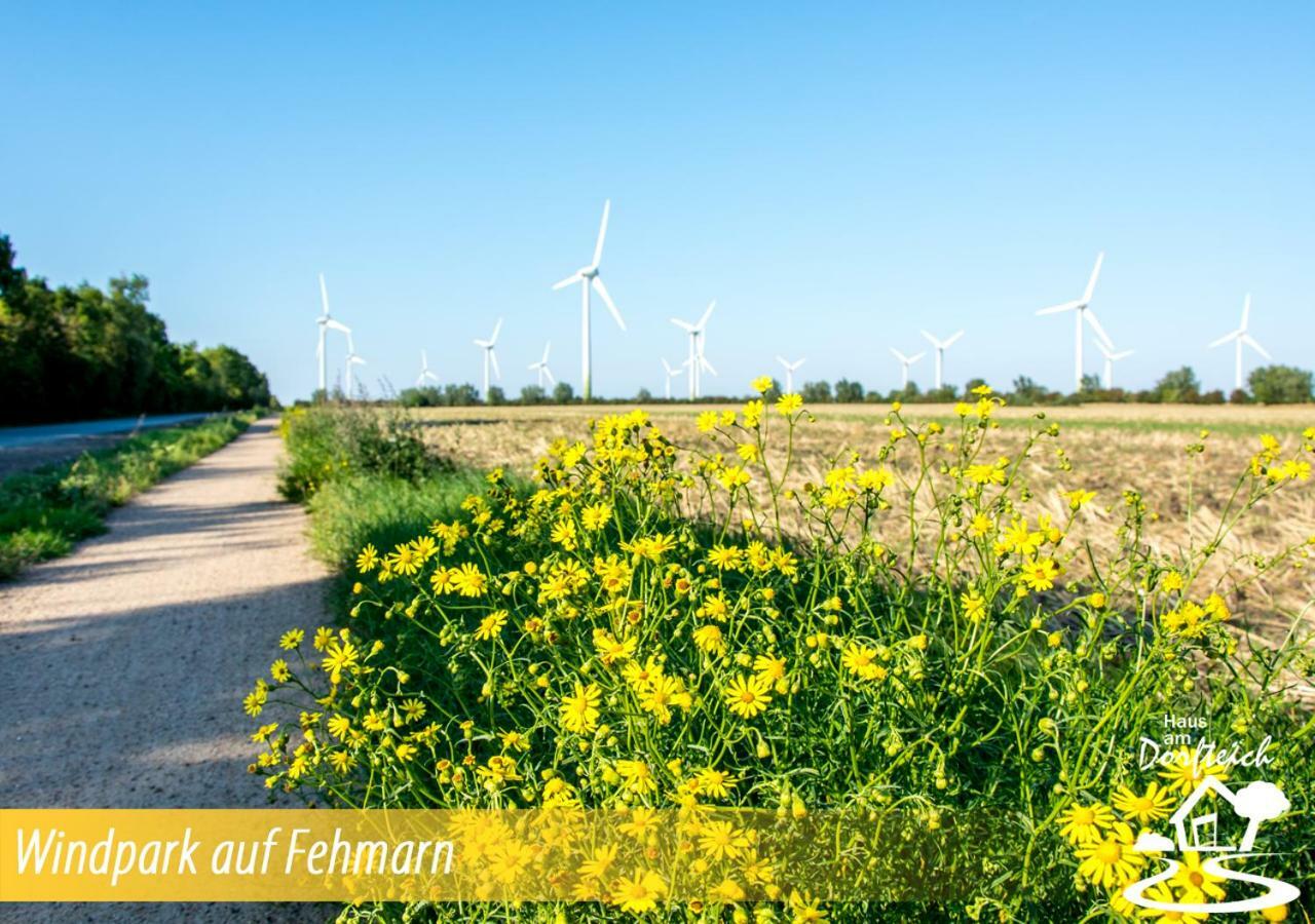 Haus Am Dorfteich Fehmarn Daire Dänschendorf Dış mekan fotoğraf