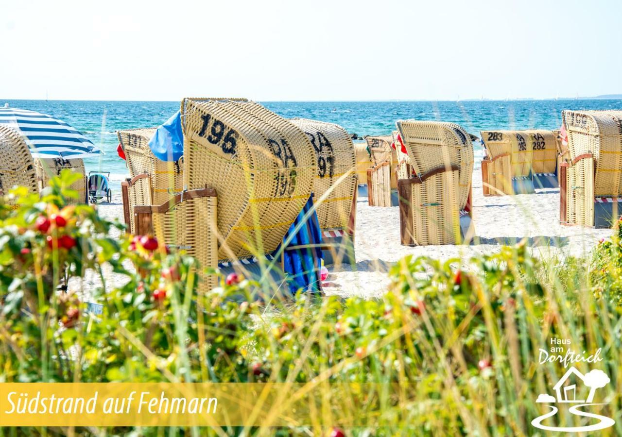 Haus Am Dorfteich Fehmarn Daire Dänschendorf Dış mekan fotoğraf