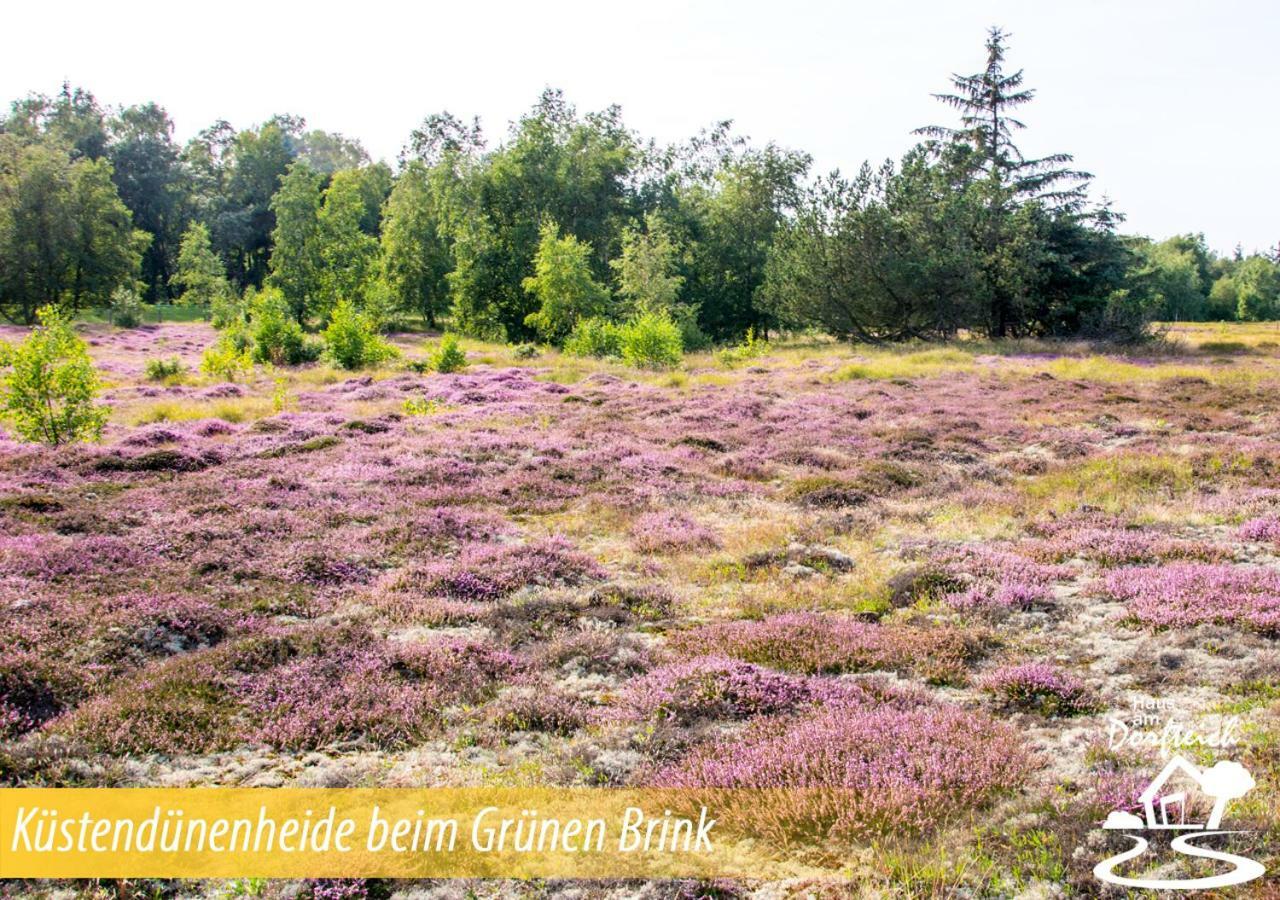 Haus Am Dorfteich Fehmarn Daire Dänschendorf Dış mekan fotoğraf